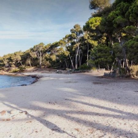 Charmant studio à Saint Mandrier sur Mer Leilighet Eksteriør bilde