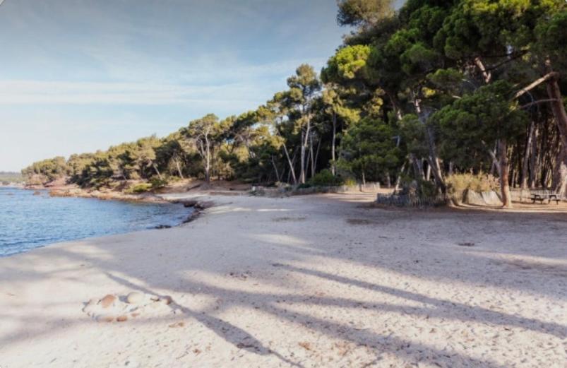 Charmant studio à Saint Mandrier sur Mer Leilighet Eksteriør bilde